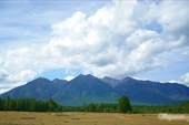 08_02 (11)